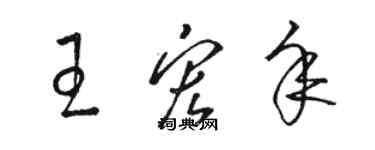 駱恆光王宏年草書個性簽名怎么寫