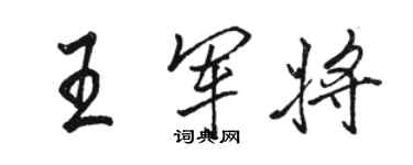 駱恆光王軍將行書個性簽名怎么寫