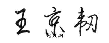 駱恆光王京韌行書個性簽名怎么寫