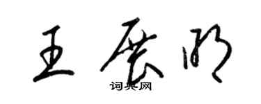 梁錦英王展明草書個性簽名怎么寫
