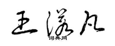 曾慶福王諾凡草書個性簽名怎么寫