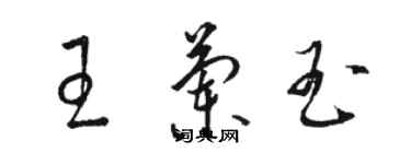 駱恆光王蘭玉草書個性簽名怎么寫