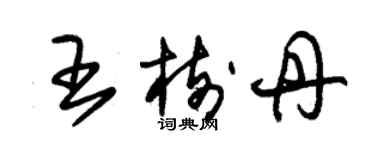 朱錫榮王樹丹草書個性簽名怎么寫