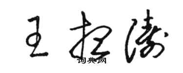 駱恆光王想濤草書個性簽名怎么寫