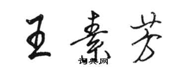 駱恆光王素芳行書個性簽名怎么寫