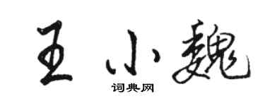 駱恆光王小魏行書個性簽名怎么寫
