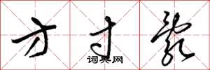 梁錦英方寸亂草書怎么寫