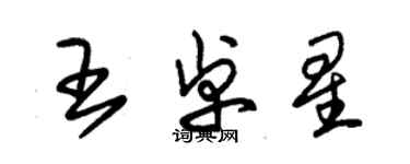 朱錫榮王卓星草書個性簽名怎么寫
