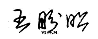 朱錫榮王盼昭草書個性簽名怎么寫