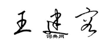 梁錦英王建容草書個性簽名怎么寫