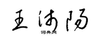 梁錦英王沛陽草書個性簽名怎么寫