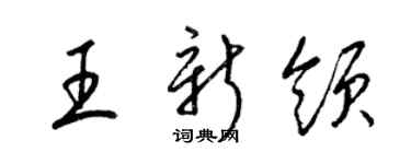 梁錦英王新領草書個性簽名怎么寫