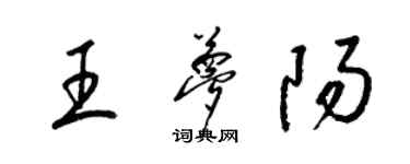 梁錦英王夢陽草書個性簽名怎么寫