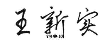 駱恆光王新實行書個性簽名怎么寫