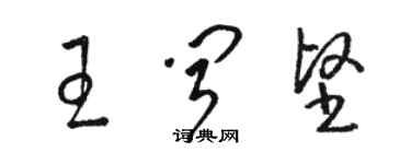 駱恆光王聞堅草書個性簽名怎么寫