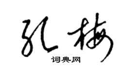 梁錦英孔梅草書個性簽名怎么寫
