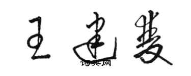 駱恆光王建雙草書個性簽名怎么寫