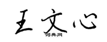 王正良王文心行書個性簽名怎么寫
