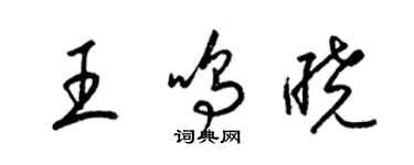 梁錦英王鳴曉草書個性簽名怎么寫