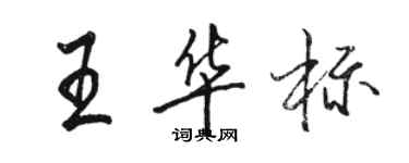 駱恆光王華標行書個性簽名怎么寫