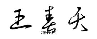 曾慶福王春夭草書個性簽名怎么寫