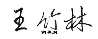 駱恆光王竹林行書個性簽名怎么寫