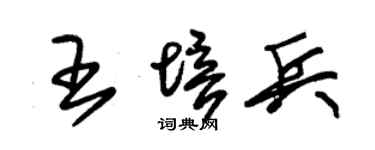 朱錫榮王培兵草書個性簽名怎么寫