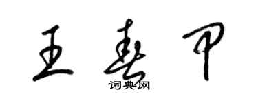 梁錦英王春甲草書個性簽名怎么寫