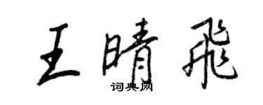 王正良王晴飛行書個性簽名怎么寫