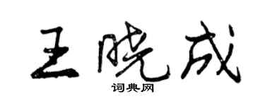 曾慶福王曉成行書個性簽名怎么寫