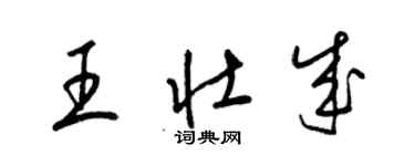 梁錦英王壯成草書個性簽名怎么寫