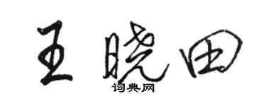 駱恆光王曉田行書個性簽名怎么寫
