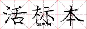 龐中華活標本楷書怎么寫