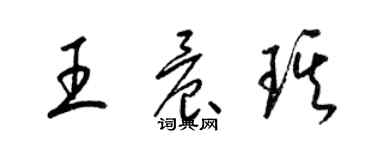 梁錦英王晨琪草書個性簽名怎么寫