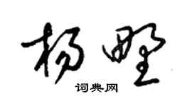 梁錦英楊野草書個性簽名怎么寫