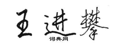 駱恆光王進攀行書個性簽名怎么寫