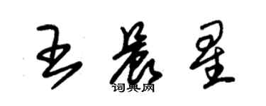 朱錫榮王晨星草書個性簽名怎么寫