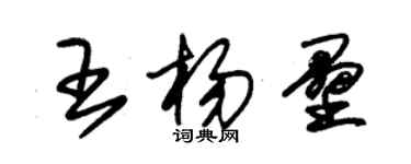 朱錫榮王楊壘草書個性簽名怎么寫