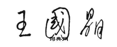 駱恆光王國晶草書個性簽名怎么寫