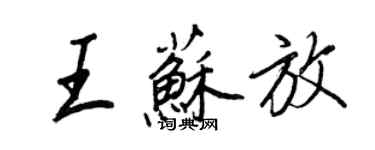 王正良王蘇放行書個性簽名怎么寫