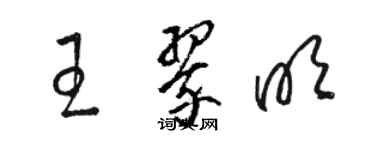 駱恆光王翠明草書個性簽名怎么寫