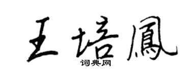 王正良王培鳳行書個性簽名怎么寫
