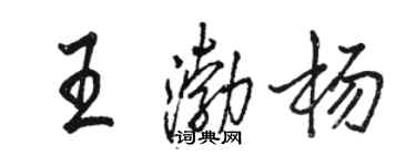 駱恆光王渤楊行書個性簽名怎么寫