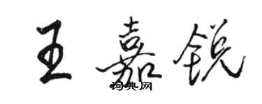 駱恆光王嘉銳行書個性簽名怎么寫