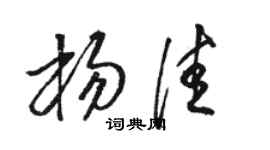 駱恆光楊佳草書個性簽名怎么寫