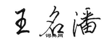 駱恆光王名潘行書個性簽名怎么寫