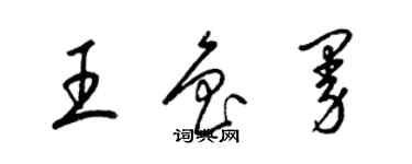 梁錦英王魯曼草書個性簽名怎么寫