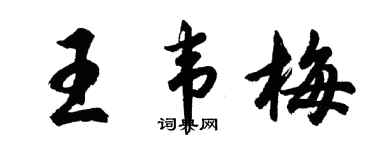 胡問遂王韋梅行書個性簽名怎么寫