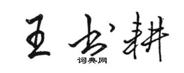 駱恆光王書耕行書個性簽名怎么寫