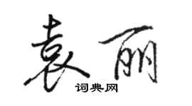 駱恆光袁麗行書個性簽名怎么寫